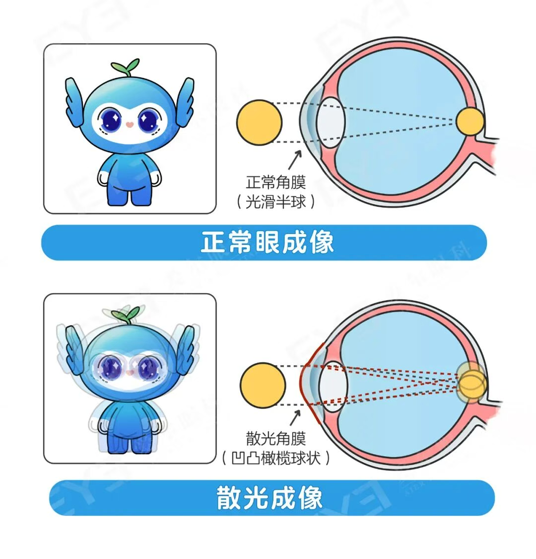 圖片.png